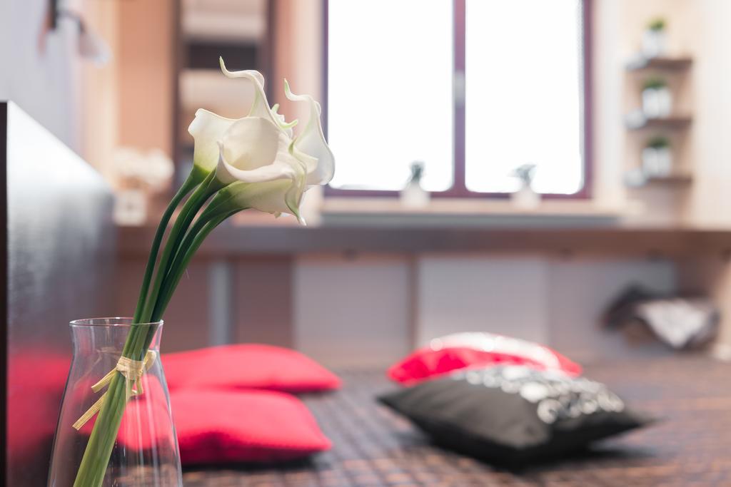 Nad Wisłą Z Basenem Apartament Kraków